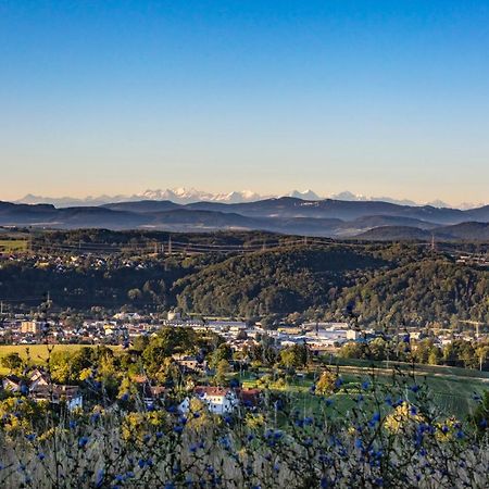 Ferienwohnung Im Alpenblick Steinen  Eksteriør billede