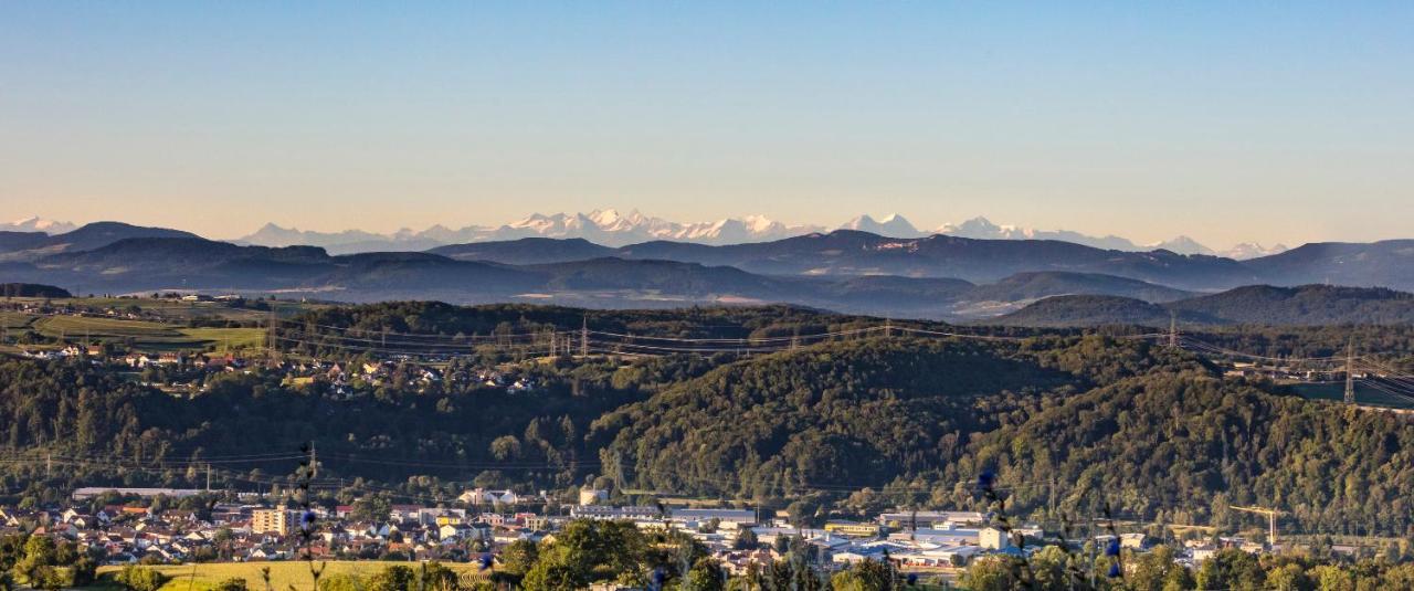 Ferienwohnung Im Alpenblick Steinen  Eksteriør billede